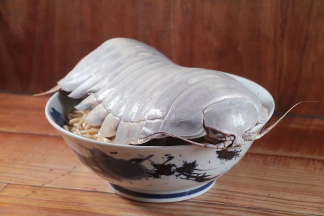 Món mì ramen kết hợp bọ biển khổng lồ thu hút thực khách - Ảnh 1.