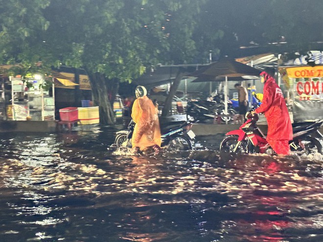 TP.HCM: Mưa lớn, cây cao hơn 10m bật gốc đổ xuống đường - Ảnh 5.