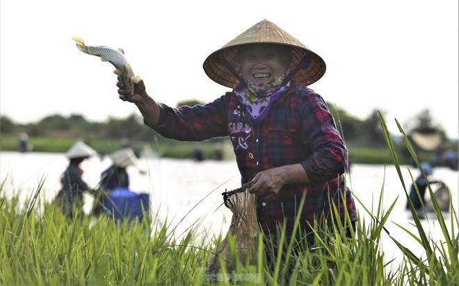 Hàng nghìn người đội nắng chen chúc bắt cá cầu may - Ảnh 12.