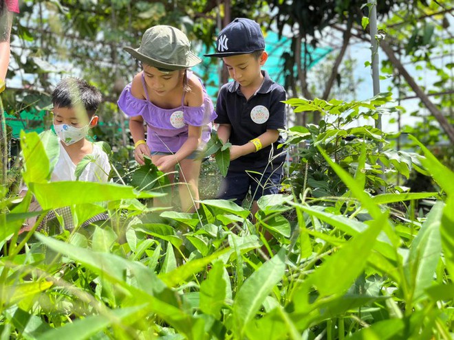Đằng sau một đứa trẻ kh&ocirc;ng v&acirc;ng lời, thường c&oacute; một bậc cha mẹ l&agrave;m điều n&agrave;y - Ảnh 1.