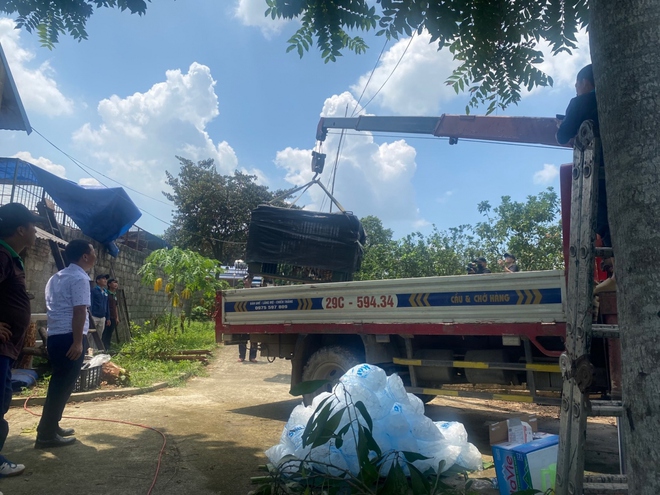 Một hộ dân ở Thái Nguyên tự nguyện bàn giao 6 cá thể hổ cho Nhà nước - Ảnh 2.