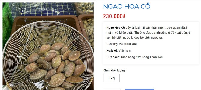 Nhờ em gái đi mua sò lụa giật mình bởi giá 1 triệu 7 cho 2kg và lời phản hồi từ nhà hàng - Ảnh 5.