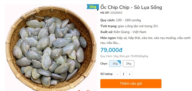 Nhờ em gái đi mua sò lụa giật mình bởi giá 1 triệu 7 cho 2kg và lời phản hồi từ nhà hàng - Ảnh 4.