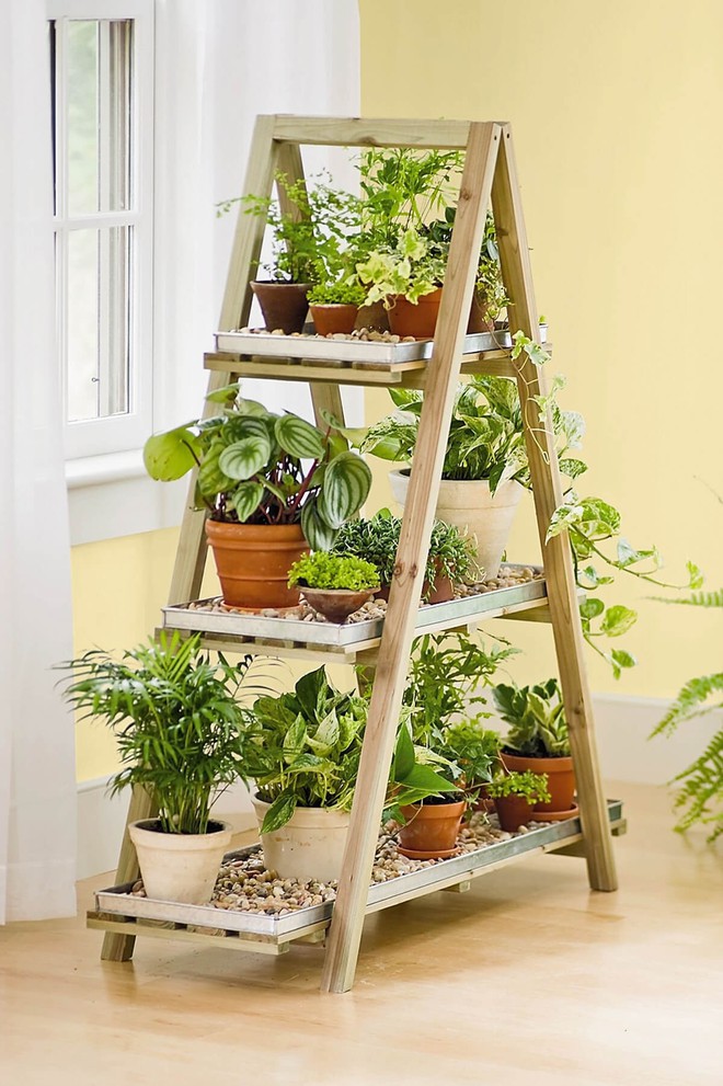 S&aacute;ng tạo khu vườn thảo mộc ngay trong căn bếp gia đ&igrave;nh với những &yacute; tưởng cực hay - Ảnh 6.