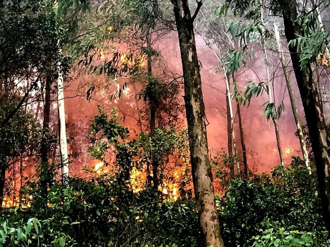 Cận cảnh hàng ngàn lượt người vật lộn với đám cháy rừng thông suốt 16 giờ - Ảnh 8.