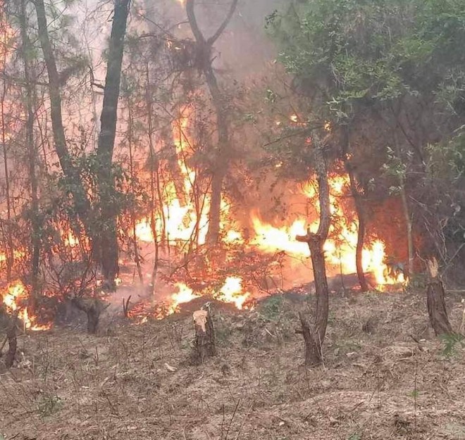 Cận cảnh hàng ngàn lượt người vật lộn với đám cháy rừng thông suốt 16 giờ - Ảnh 4.