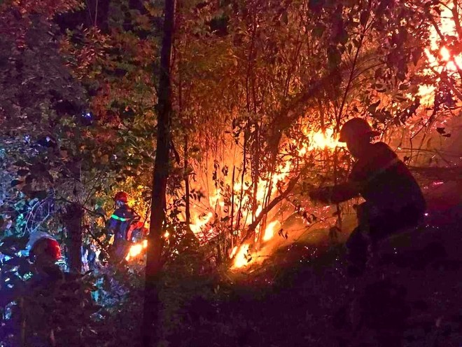 Cận cảnh hàng ngàn lượt người vật lộn với đám cháy rừng thông suốt 16 giờ - Ảnh 14.