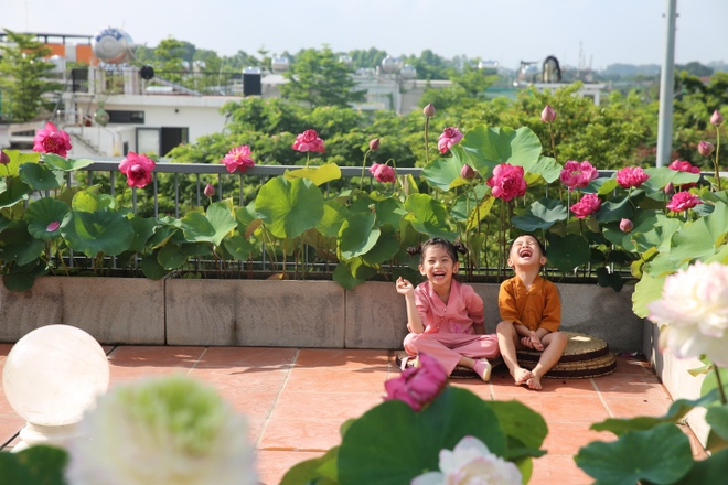 Người phụ nữ H&agrave; Nội biến s&acirc;n thượng th&agrave;nh vườn sen đẹp như mơ - Ảnh 1.