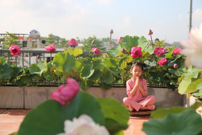 Người phụ nữ H&agrave; Nội biến s&acirc;n thượng th&agrave;nh vườn sen đẹp như mơ - Ảnh 12.
