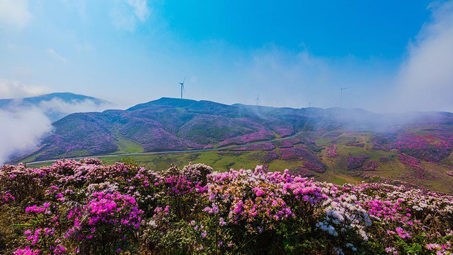 Thành phố không dùng điều hòa ở Trung Quốc: Người dân không biết nắng nóng là gì, mùa hè ngủ còn phải đắp chăn - Ảnh 9.