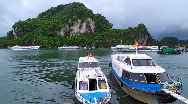 Đến h&ograve;n đảo g&oacute;c n&agrave;o cũng đẹp của miền Bắc, tận hưởng m&ugrave;a h&egrave; với chi ph&iacute; chỉ 3,5 triệu đồng - Ảnh 2.