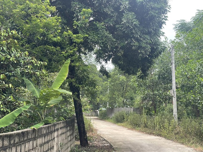 Vụ nam t&agrave;i xế xe &ocirc;m c&ocirc;ng nghệ tại H&agrave; Nội bị s&aacute;t hại d&atilde; man: Nghẹn ng&agrave;o cuộc gọi cuối c&ugrave;ng của nạn nh&acirc;n với bố mẹ - Ảnh 2.
