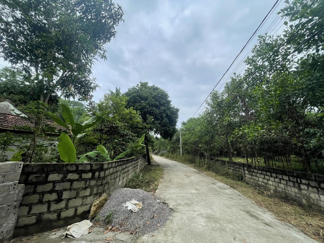 Vụ nam t&agrave;i xế xe &ocirc;m c&ocirc;ng nghệ tại H&agrave; Nội bị s&aacute;t hại d&atilde; man: Nghẹn ng&agrave;o cuộc gọi cuối c&ugrave;ng của nạn nh&acirc;n với bố mẹ - Ảnh 1.