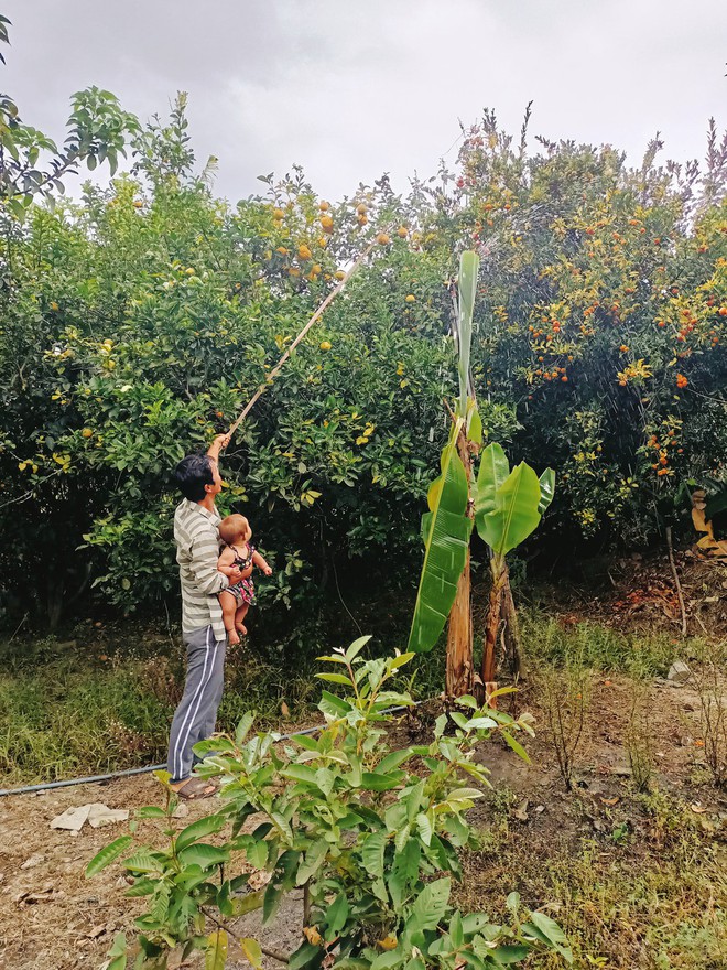 Phải lòng trai Nghệ An, nàng Mỹ rủ anh vào rừng “săn bắt hái lượm”, sống giữa thung lũng Ecuador - Ảnh 3.