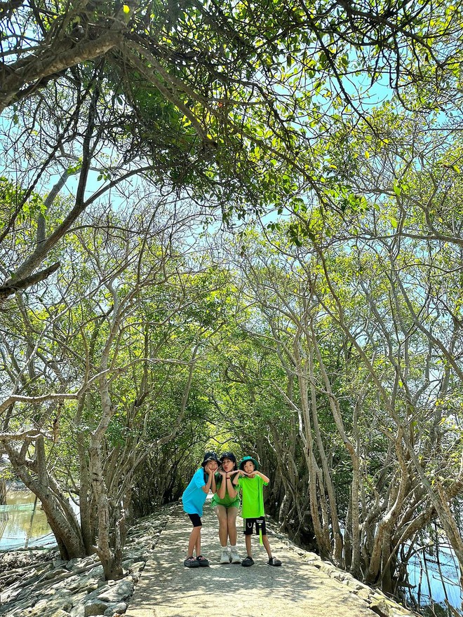 "Đổi màu" giữa mùa hè, khu rừng ngập mặn duy nhất ở Huế trở thành điểm đến của các gia đình - Ảnh 6.