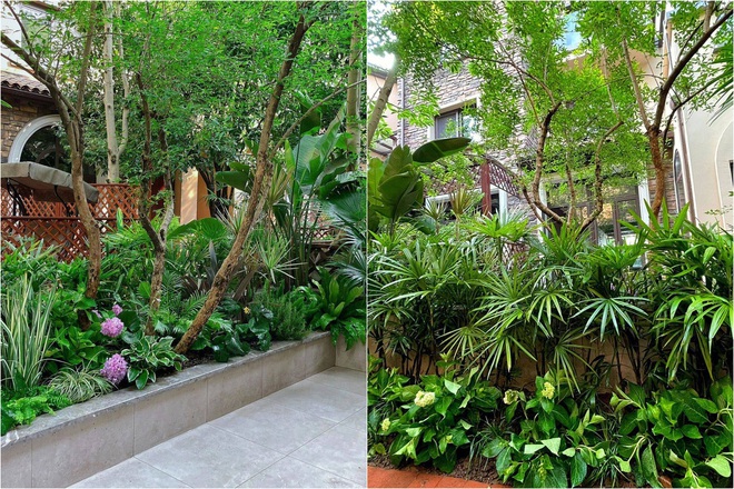 B&agrave; mẹ 2 con tự tay cải tạo s&acirc;n vườn 40m2 trở th&agrave;nh nơi nghỉ ngơi đẹp mắt - Ảnh 4.
