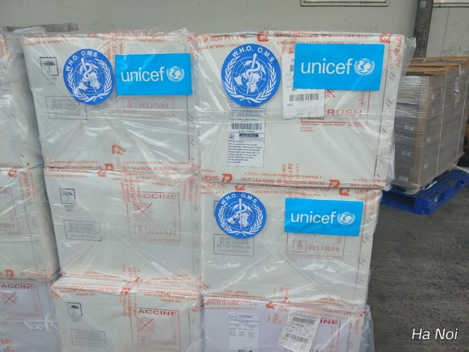 185.700 liều vaccine 5 trong 1 do UNICEF hỗ trợ đã về đến Việt Nam - Ảnh 2.