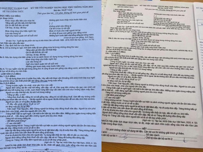6 lùm xùm về đề thi tốt nghiệp THPT 2023 - Ảnh 1.