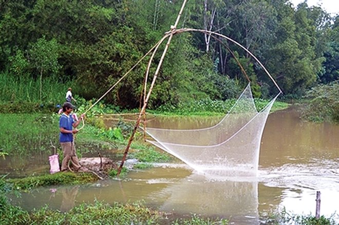 Câu đố: Đi thì túm, về thì banh/ Nghe mùi tanh tanh, đụng vào ướt ướt - Là cái gì? - Ảnh 1.