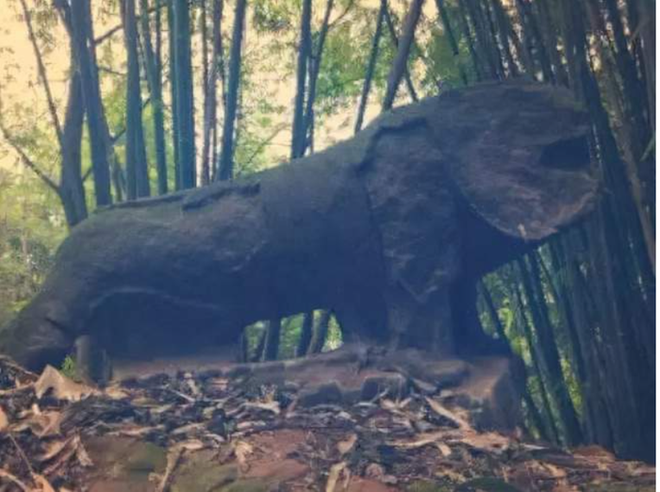 M&aacute;y x&uacute;c đ&agrave;o tr&uacute;ng kh&uacute;c gỗ để lộ cục đ&aacute; lạ, chuy&ecirc;n gia lần theo manh mối t&igrave;m thấy kho b&aacute;u - Ảnh 4.