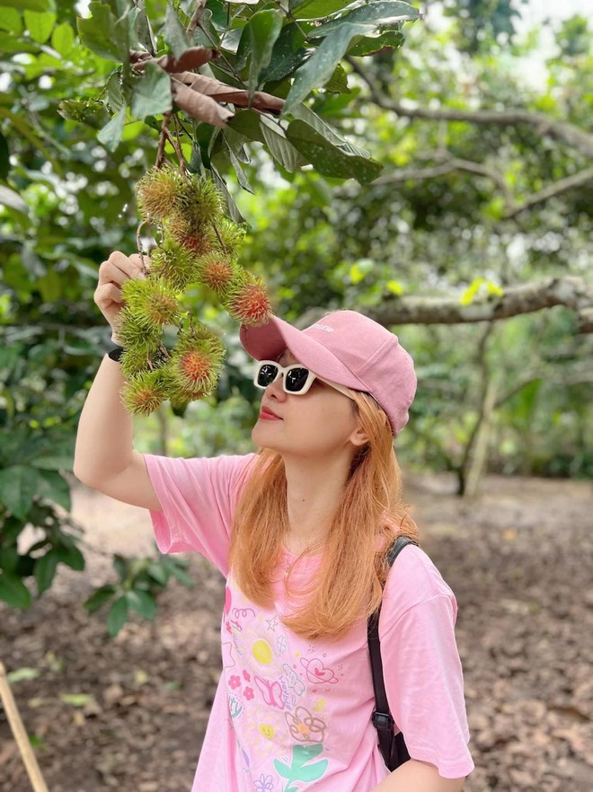 Chôm chôm vào mùa và danh sách các vườn vừa cho vào tham quan kết hợp dã ngoại, vừa được tự tay hái - Ảnh 6. Chôm chôm vào mùa và danh sách các vườn vừa cho vào tham quan kết hợp dã ngoại, vừa được tự tay hái - Ảnh 6.