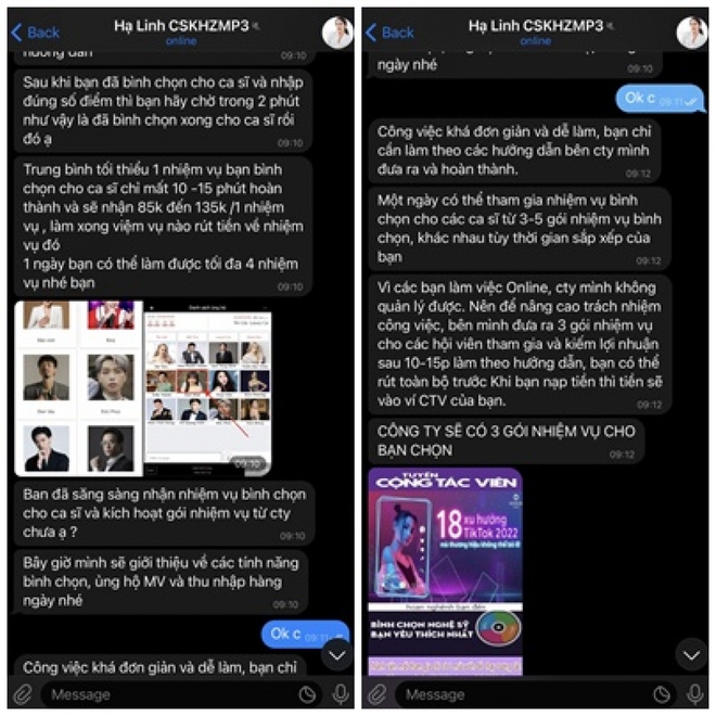 Mất gần 700 triệu đồng vì tin lời quảng cáo lướt Tiktok, kiếm thu nhập - Ảnh 2.