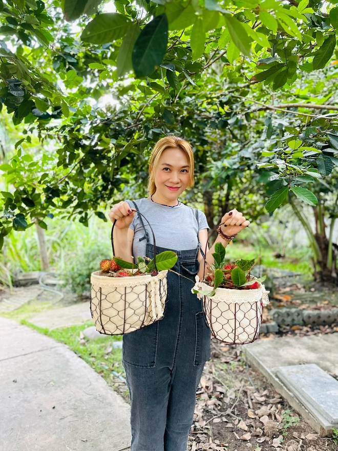 Chôm chôm vào mùa và danh sách các vườn vừa cho vào tham quan kết hợp dã ngoại, vừa được tự tay hái - Ảnh 1. Chôm chôm vào mùa và danh sách các vườn vừa cho vào tham quan kết hợp dã ngoại, vừa được tự tay hái - Ảnh 1.