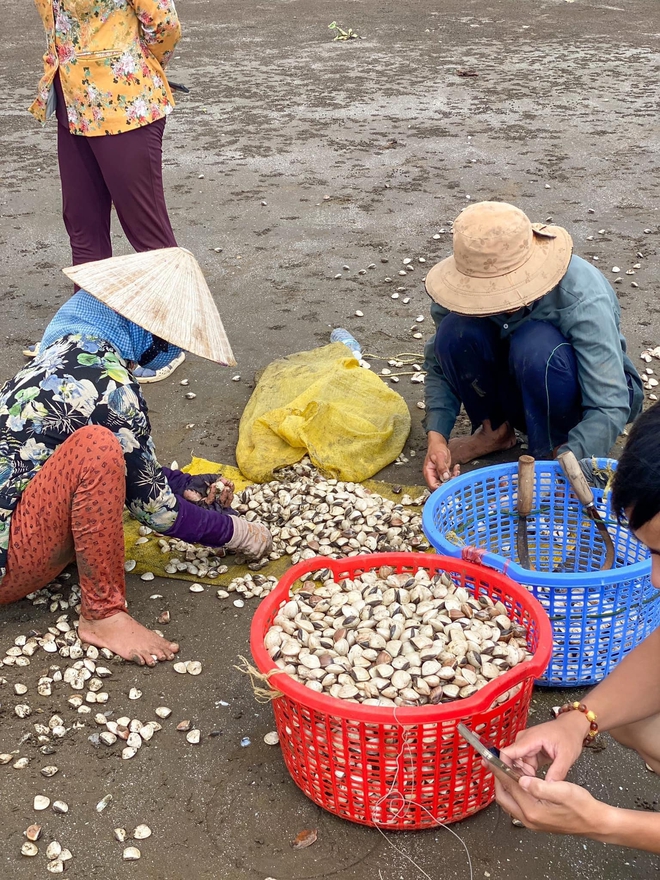 Gợi ý cho gia đình các hoạt động vui chơi "giải nhiệt" mùa hè chỉ cách TP.HCM khoảng 70km - Ảnh 4.