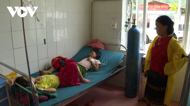11 cháu bé ở Hà Giang bị ngộ độc do ăn quả hồng châu - Ảnh 1.
