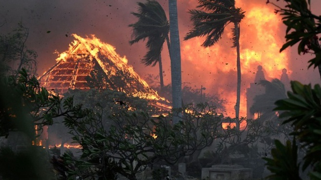 Sự thật bất ngờ về thảm họa cháy rừng ở Hawaii - Ảnh 1.