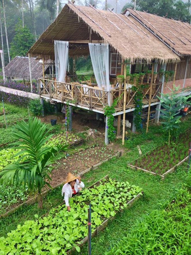Cuộc thi “Vườn đẹp, trang trại kiểu mẫu”: Lan tỏa, thúc đẩy phong trào phát  triển kinh tế VAC