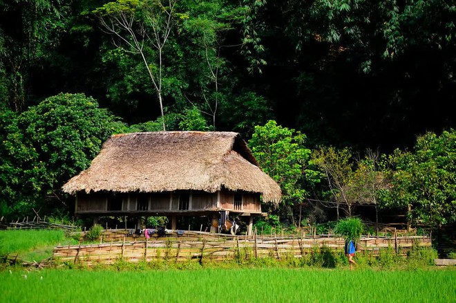Một Vườn quốc gia Việt Nam vừa đạt giải h&agrave;ng đầu ch&acirc;u &Aacute;, l&agrave; năm thứ 5 li&ecirc;n tiếp được vinh danh - Ảnh 11.