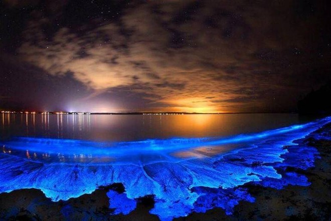 B&iacute; ẩn về hiện tượng biển sao của Maldives - Ảnh 1.