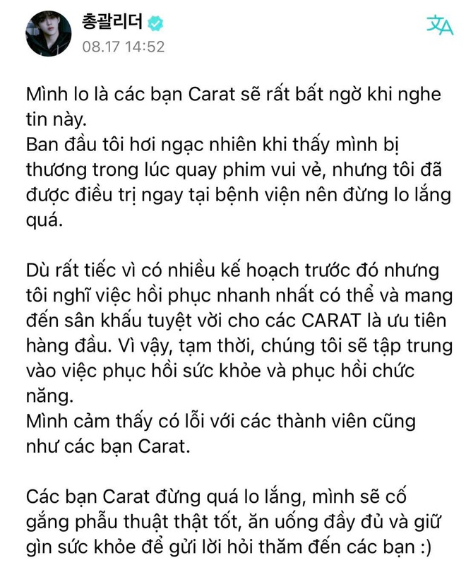 Tam tai của SEVENTEEN: Hết thành viên hẹn hò bị fan phản đối đến trưởng nhóm chấn thương, phẫu thuật ngay trước tour Nhật - Ảnh 3.