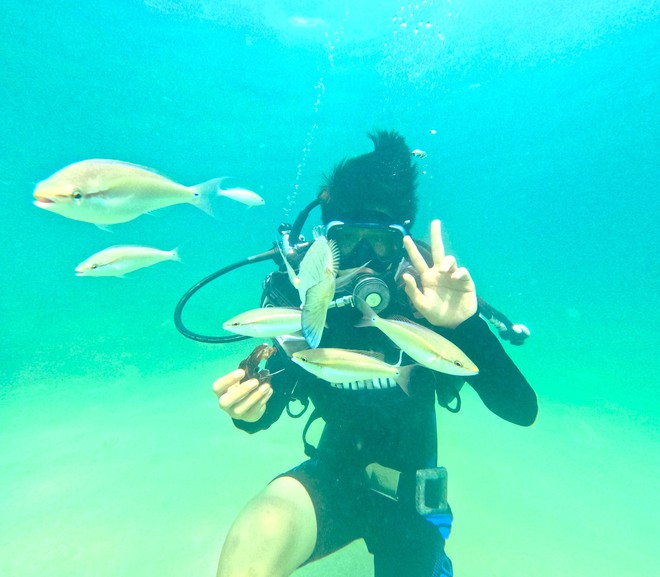 Thưởng ngoạn cảnh si&ecirc;u thực khi lặn biển ngắm san h&ocirc; ở C&ocirc; T&ocirc; - Ảnh 7.