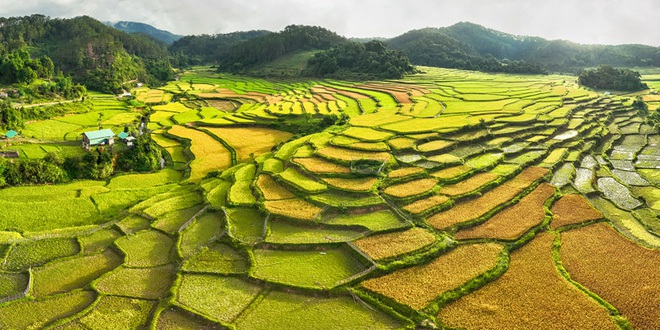 Hành trình khám phá Măng Đen - Đà Lạt thu nhỏ giữa lòng Tây Nguyên - Ảnh 1.