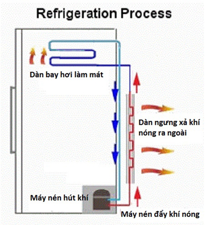 Đang bảo dưỡng, vệ sinh tủ lạnh, người dùng gặp tai nạn thương tâm: Nguyên nhân có thể từ những sai lầm phổ biến - Ảnh 2.