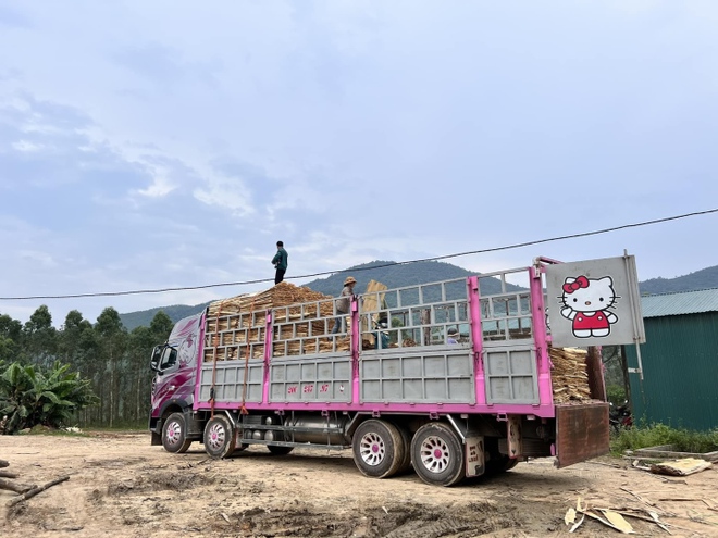 Mỹ nhân Thái Nguyên nặng 36kg lái xe tải nặng 30 tấn, được dân mạng gọi là bóng hồng container - Ảnh 3.