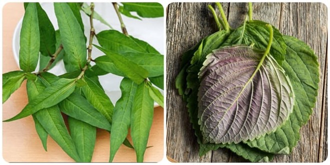 5 loại rau thơm giúp sống khỏe mọc đầy ở vườn nhà - Ảnh 1.