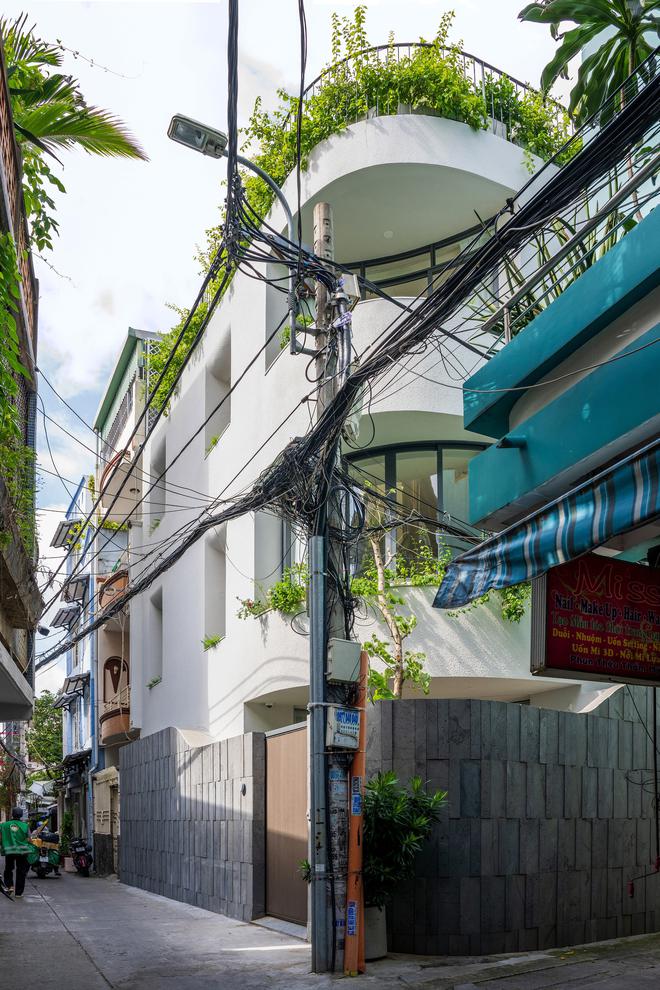 Độc đ&aacute;o căn nh&agrave; x&acirc;y mang cả khu vườn b&iacute; mật b&ecirc;n trong - Ảnh 1.