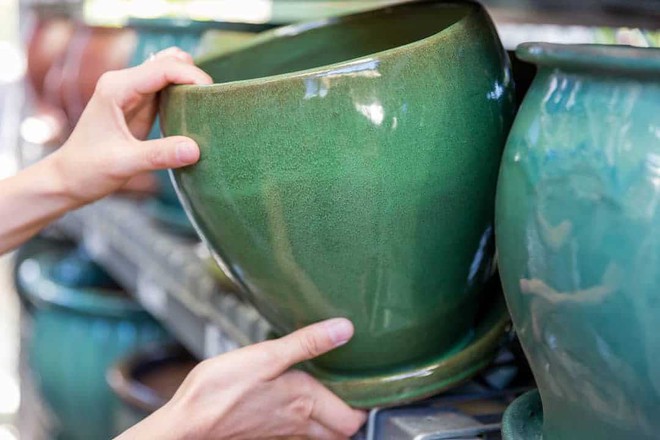 Những loại c&acirc;y n&ecirc;n trồng ở ban c&ocirc;ng để gi&uacute;p nh&agrave; m&aacute;t mẻ - Ảnh 9.