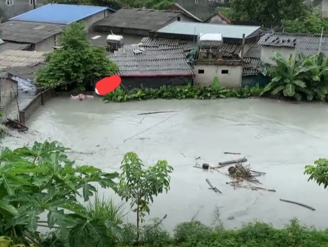Lào Cai: Vỡ đập hồ chứa nước thải, dòng nước xám xịt, ô nhiễm tràn vào nhà dân - Ảnh 2.