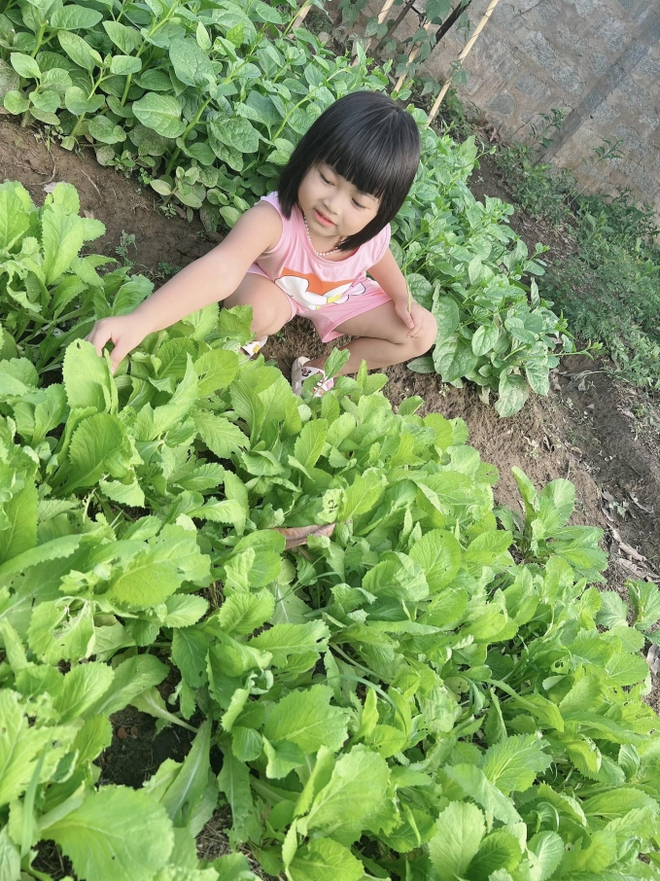 Ch&aacute;n cuộc sống ồn &agrave;o, vợ chồng doanh nh&acirc;n bỏ phố về qu&ecirc;: Chi 12 tỷ để sở hữu kh&ocirc;ng gian sống thơ mộng, x&acirc;y cả resort để nghỉ dưỡng - Ảnh 9.