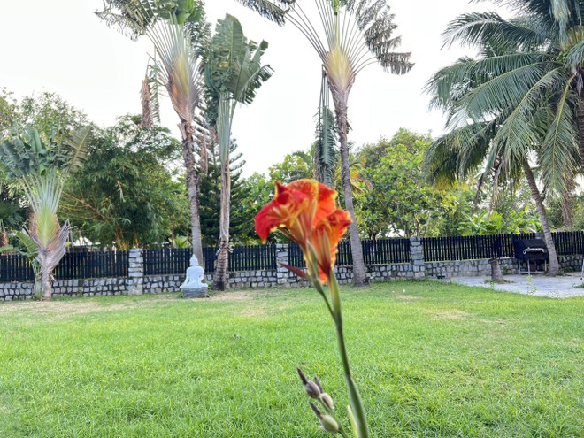 Ch&aacute;n cuộc sống ồn &agrave;o, vợ chồng doanh nh&acirc;n bỏ phố về qu&ecirc;: Chi 12 tỷ để sở hữu kh&ocirc;ng gian sống thơ mộng, x&acirc;y cả resort để nghỉ dưỡng - Ảnh 3.