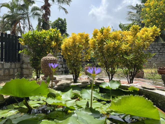 Ch&aacute;n cuộc sống ồn &agrave;o, vợ chồng doanh nh&acirc;n bỏ phố về qu&ecirc;: Chi 12 tỷ để sở hữu kh&ocirc;ng gian sống thơ mộng, x&acirc;y cả resort để nghỉ dưỡng - Ảnh 2.