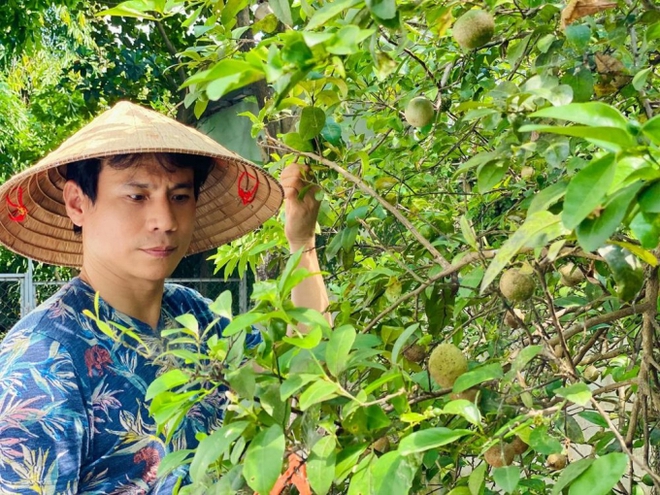 Nam thần màn ảnh Trí Quang âm thầm ly hôn, U50 sống một mình trong nhà vườn 800m2, vui thú điền viên - Ảnh 5.