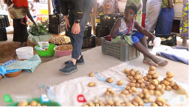 Quang Linh farm bội thu khoai tây trái mùa, thương lái tranh nhau mua nhưng số tiền thu về cả vụ mới choáng - Ảnh 6.