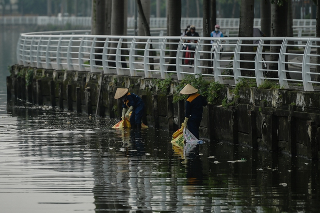 Hà Nội: Người dân nhăn mặt trước cảnh cá chết hàng loạt, bốc mùi hôi thối nồng nặc tại Hồ Tây - Ảnh 8.
