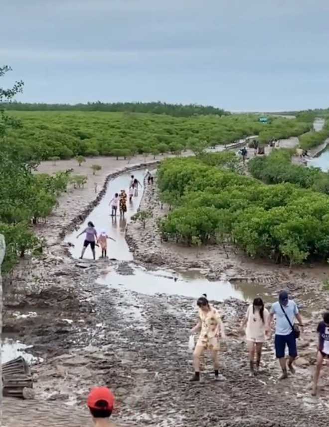 Xuất hiện phương tiện "lạ" chở người đi biển vô cực Thái Bình, du khách không còn phải khổ sở lội bùn nữa - Ảnh 2.