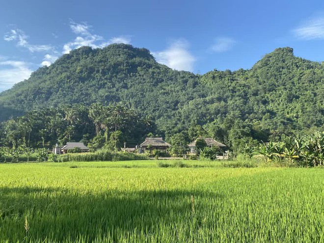 Phát hiện thung lũng như bước ra từ truyện cách Hà Nội hơn 200km, du khách nhận xét xứng đáng được biết tới nhiều hơn - Ảnh 1.